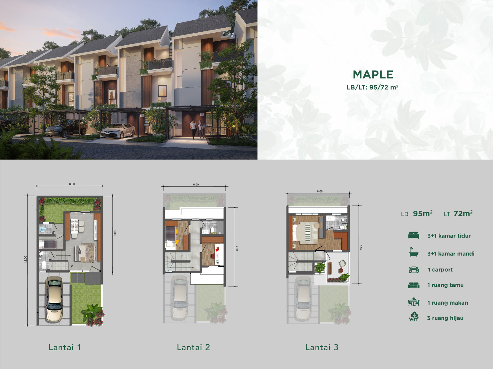 Tipe Maple