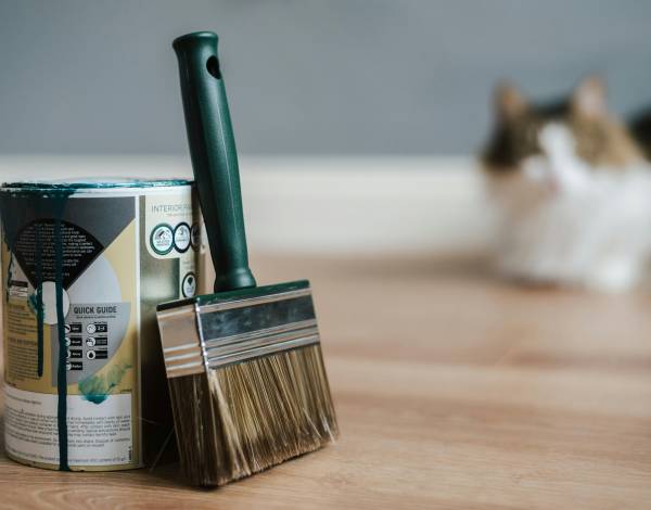 Warna Cat yang Cocok untuk Rumah Minimalis!