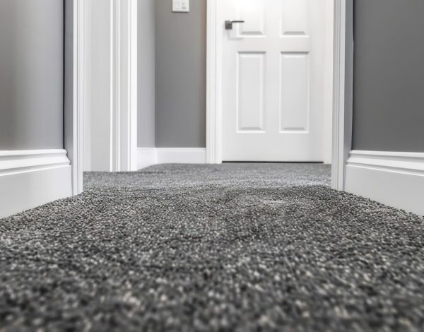 Karpet Lantai: Jenis, Material, dan Desain Terbaik untuk Rumah